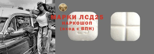 хмурый Липки