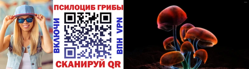 darknet как зайти  наркошоп  Назрань  Псилоцибиновые грибы Magic Shrooms 